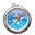 Safari Icon